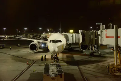 DSC_7421 (Large).JPG